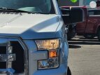 Thumbnail Photo 11 for 2017 Ford F150